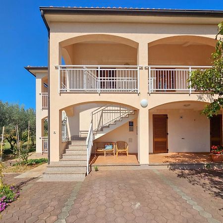 Viola Three Apartment Novigrad  Exterior photo