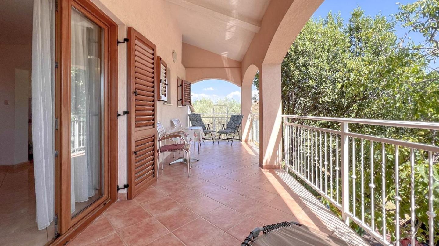 Viola Three Apartment Novigrad  Exterior photo