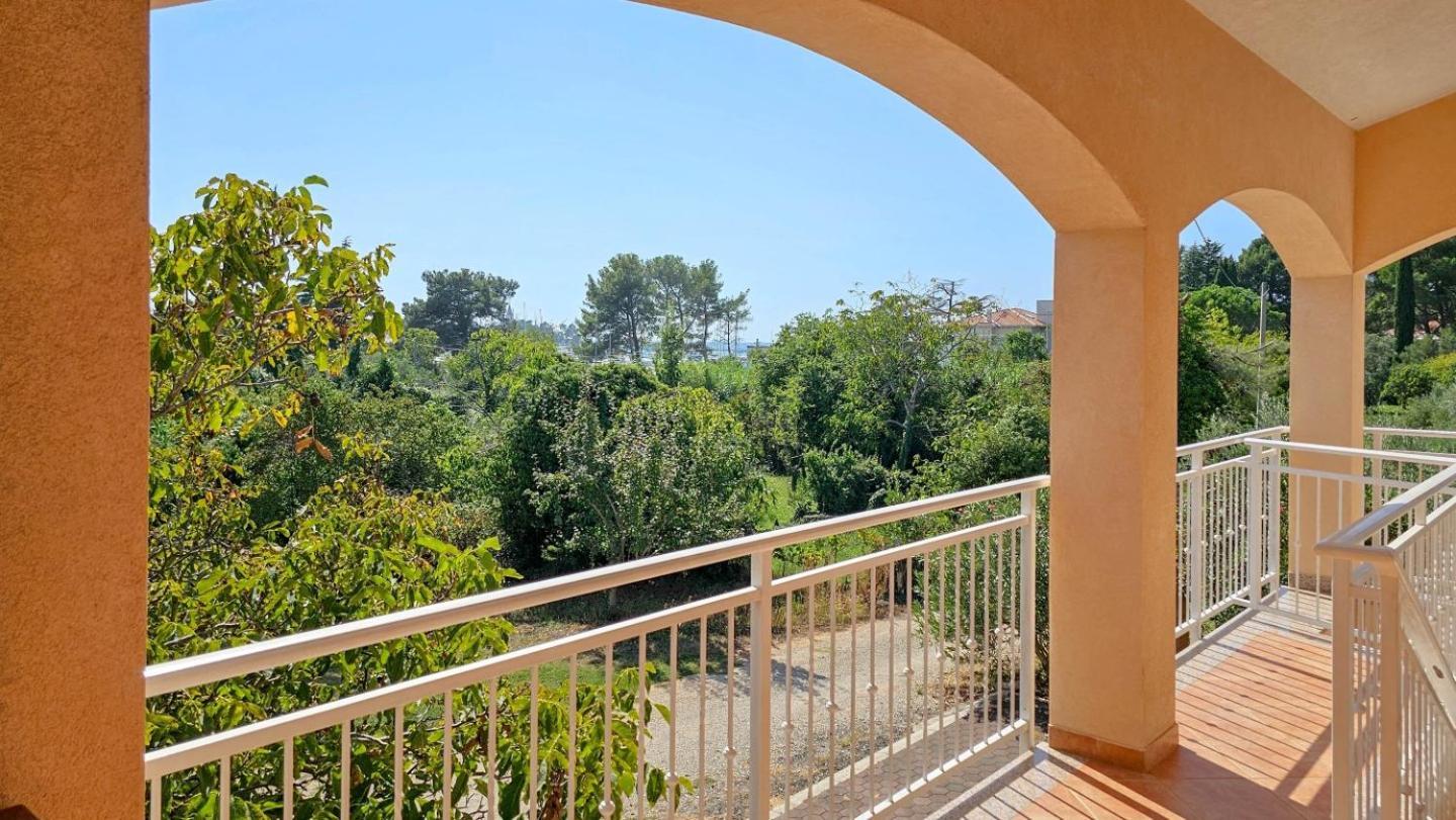 Viola Three Apartment Novigrad  Exterior photo