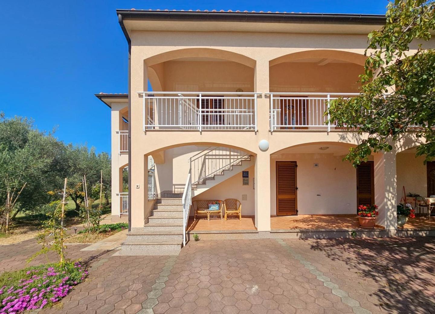 Viola Three Apartment Novigrad  Exterior photo